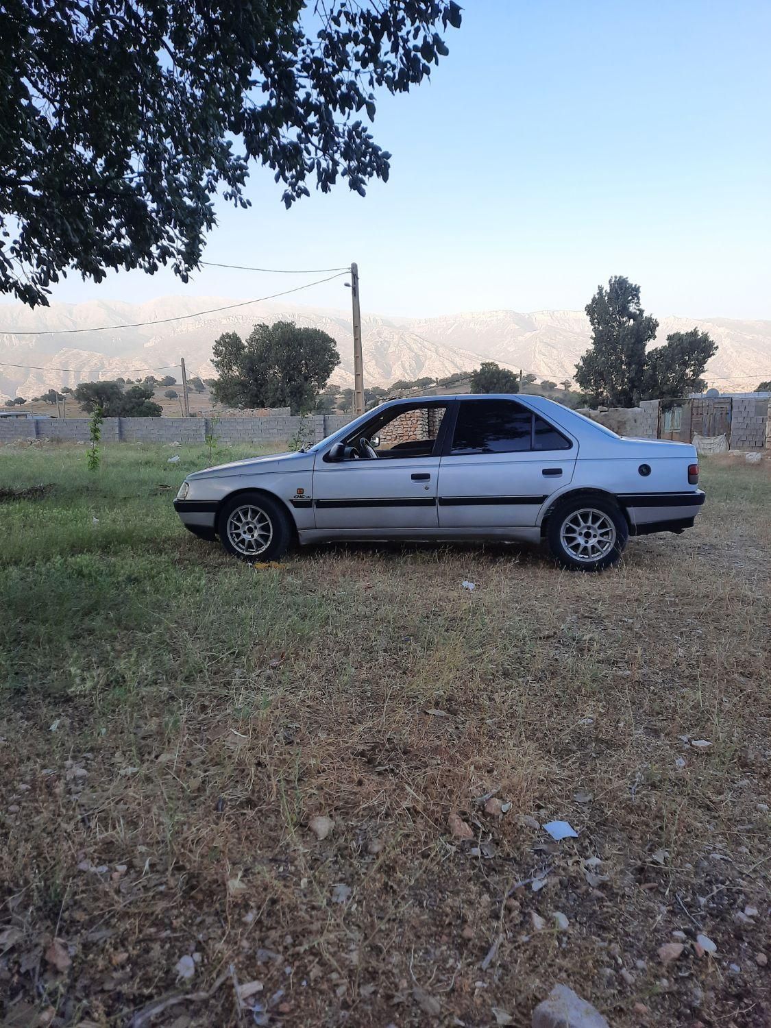 پژو 405 GLX - دوگانه سوز - 1391