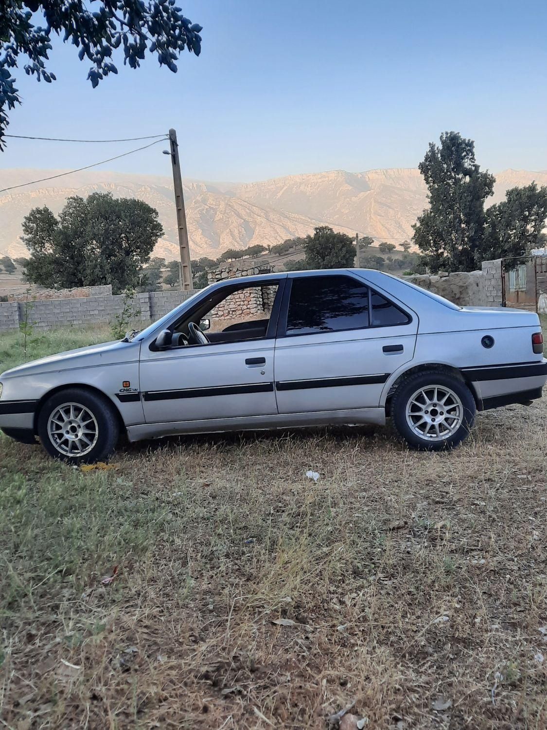پژو 405 GLX - دوگانه سوز - 1391