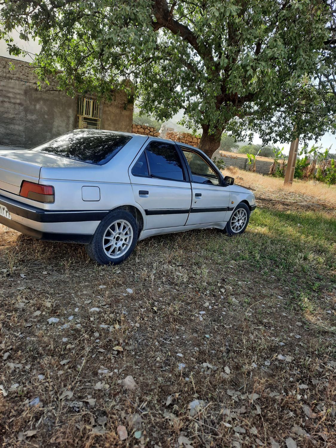 پژو 405 GLX - دوگانه سوز - 1391