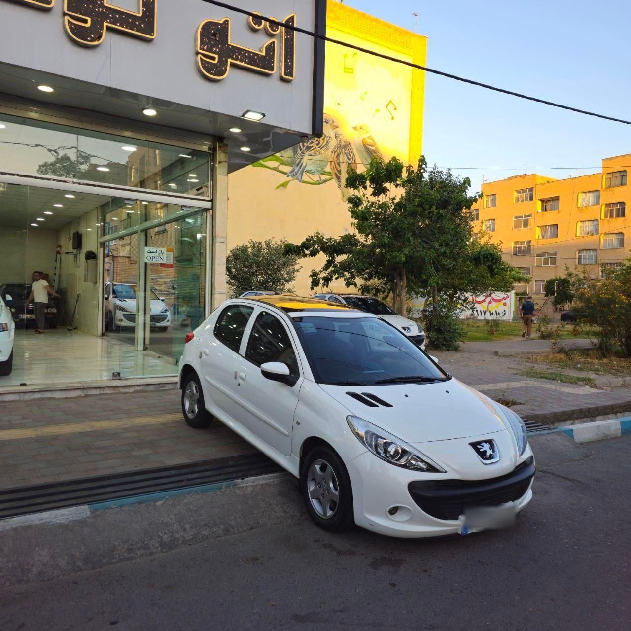 خودرو پژو، 207 آگهی ann_17875408