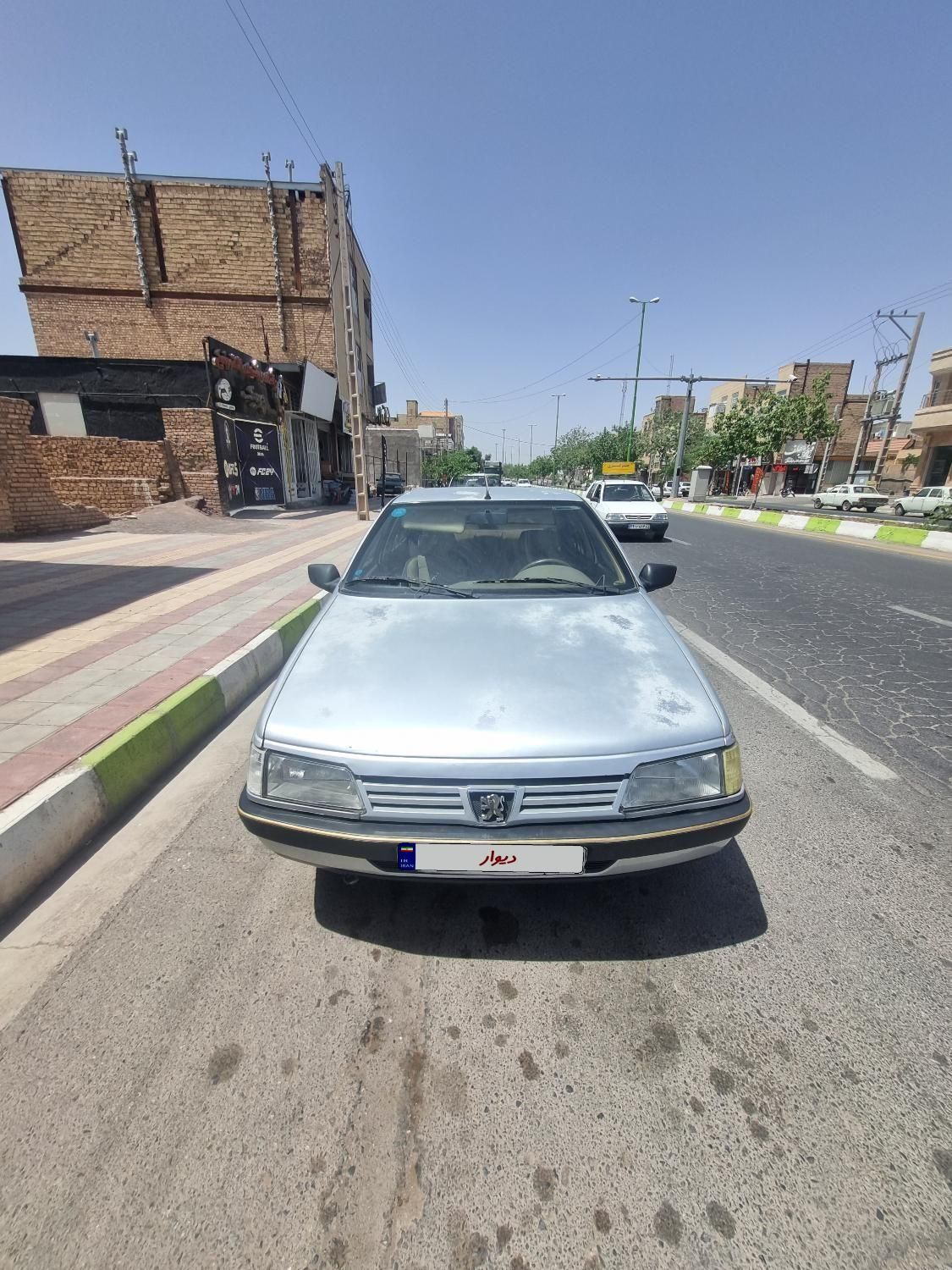 پژو 405 GLX - دوگانه سوز - 1393