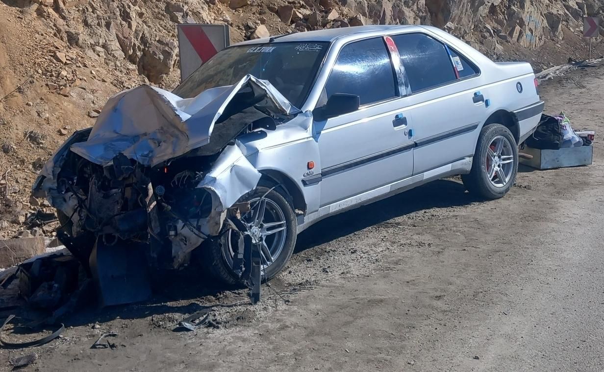 پژو 405 GLX - دوگانه سوز - 1391
