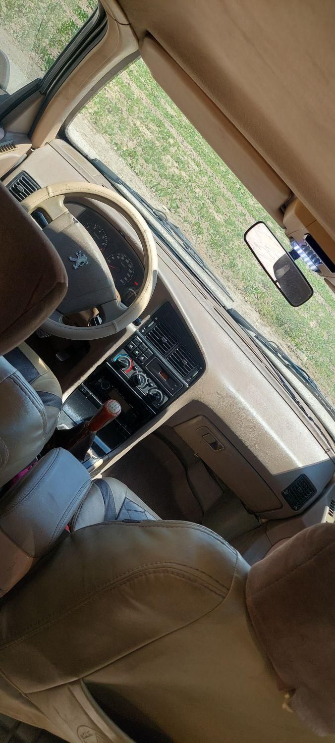 پژو 405 GLX - دوگانه سوز - 1389