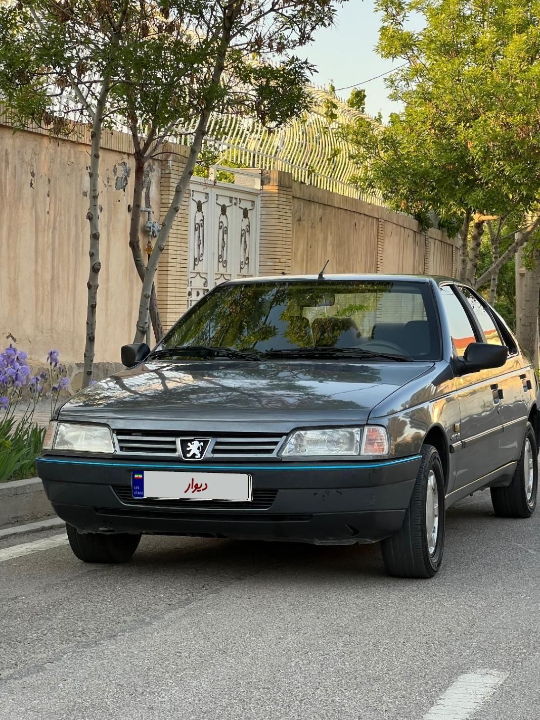 پژو 405 GLX - دوگانه سوز - 1395
