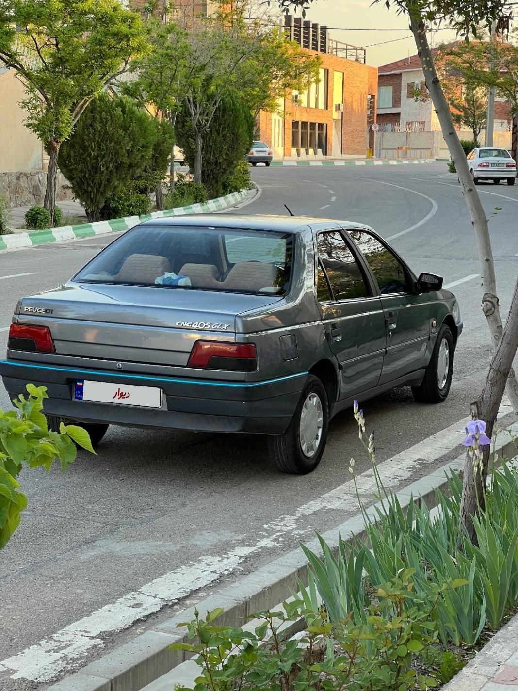 پژو 405 GLX - دوگانه سوز - 1395