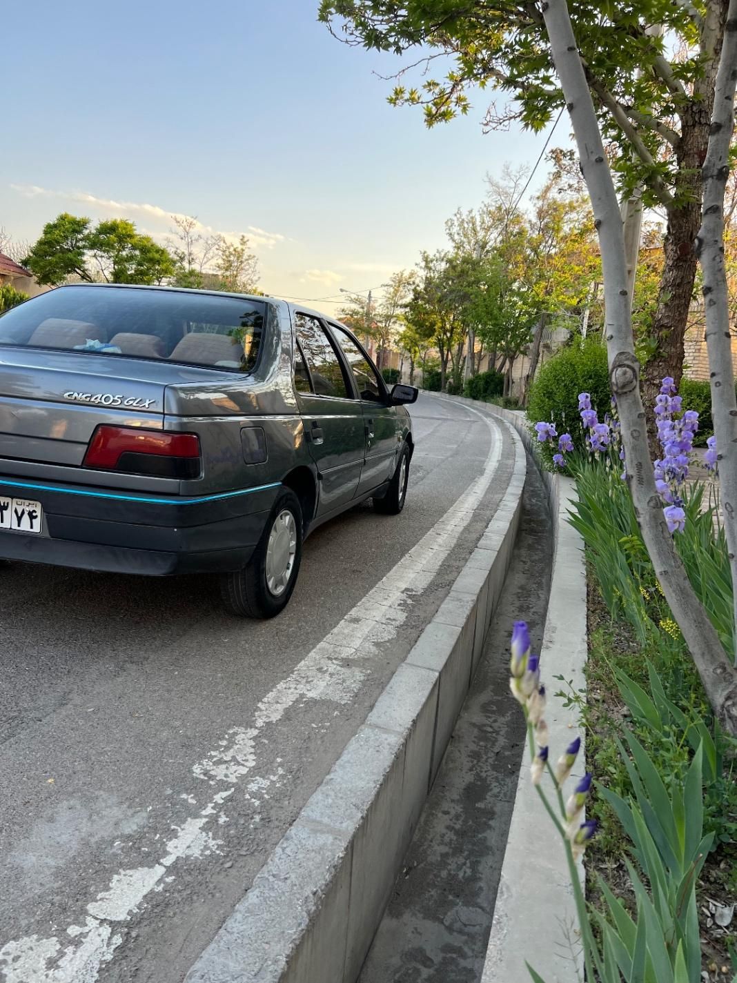پژو 405 GLX - دوگانه سوز - 1395