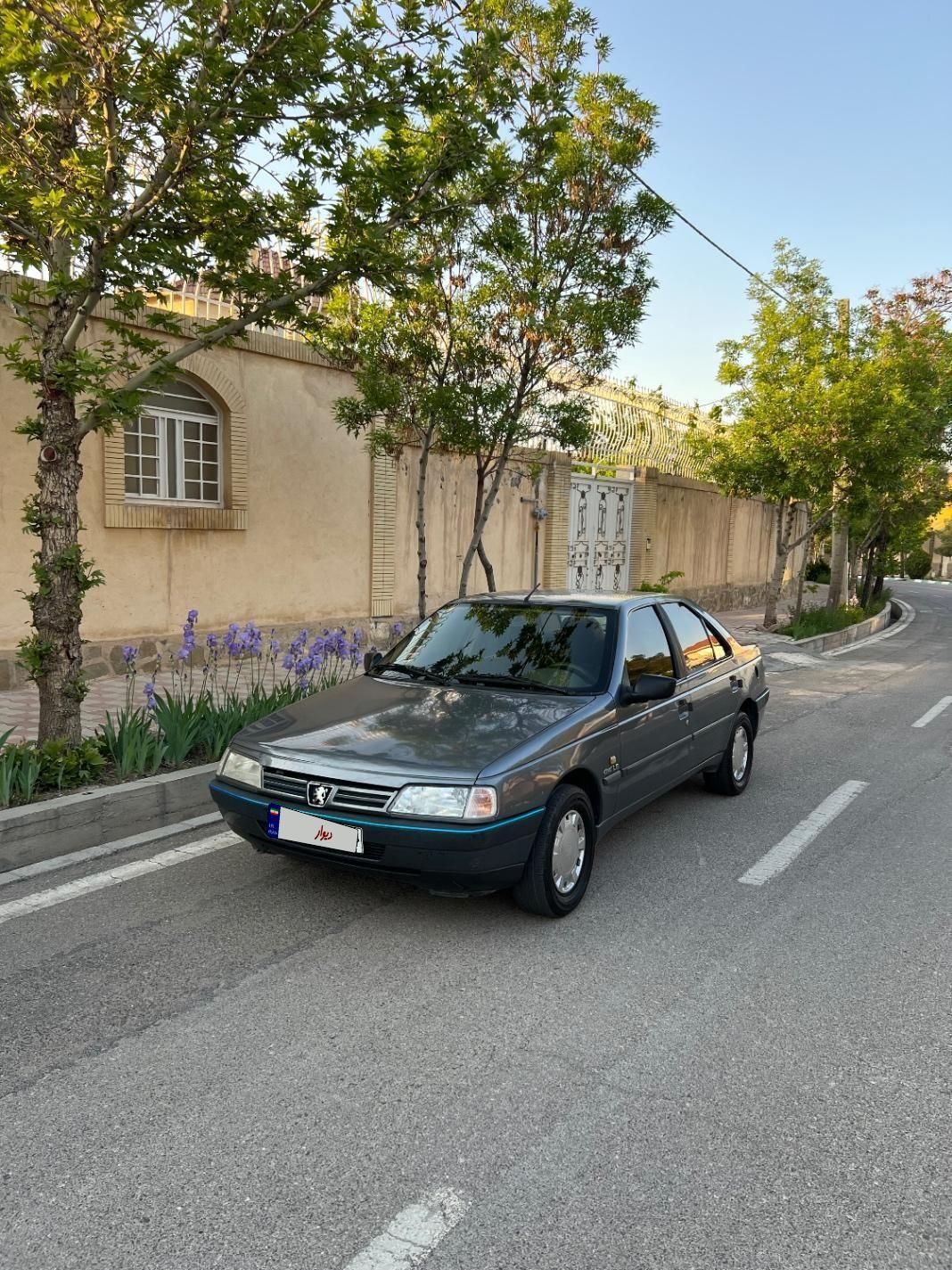 پژو 405 GLX - دوگانه سوز - 1395
