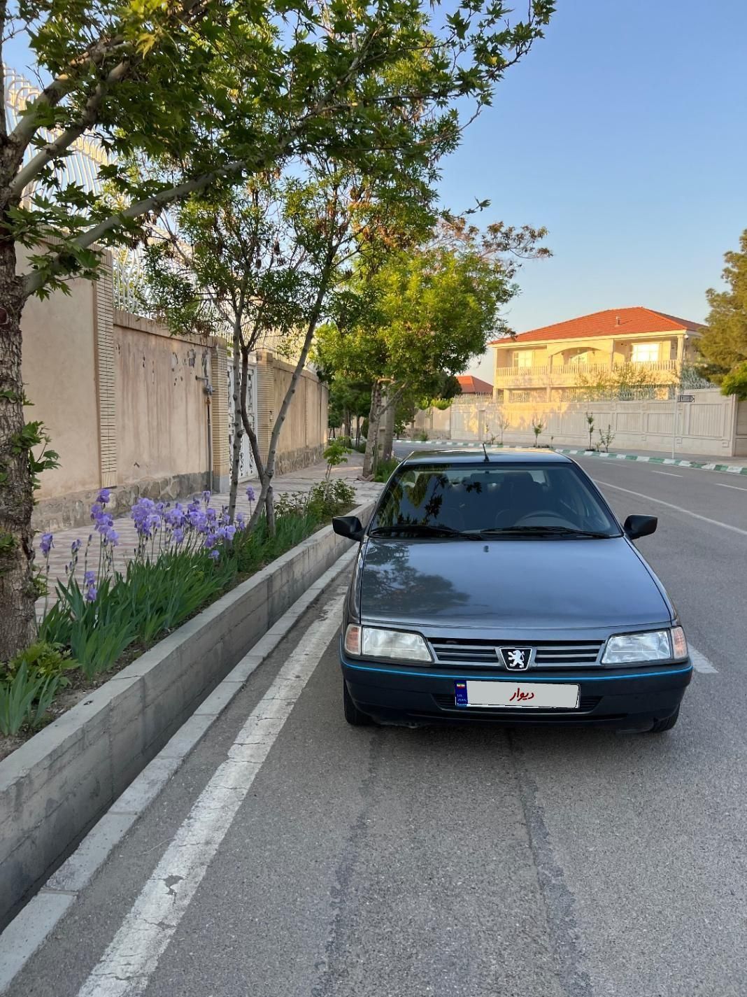 پژو 405 GLX - دوگانه سوز - 1395