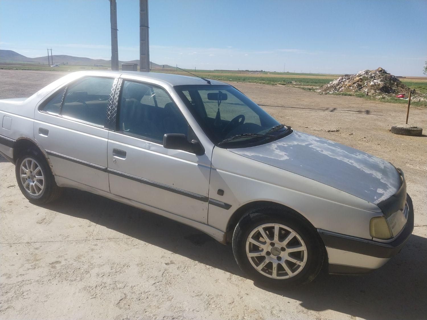 پژو 405 GL - دوگانه سوز CNG - 1373