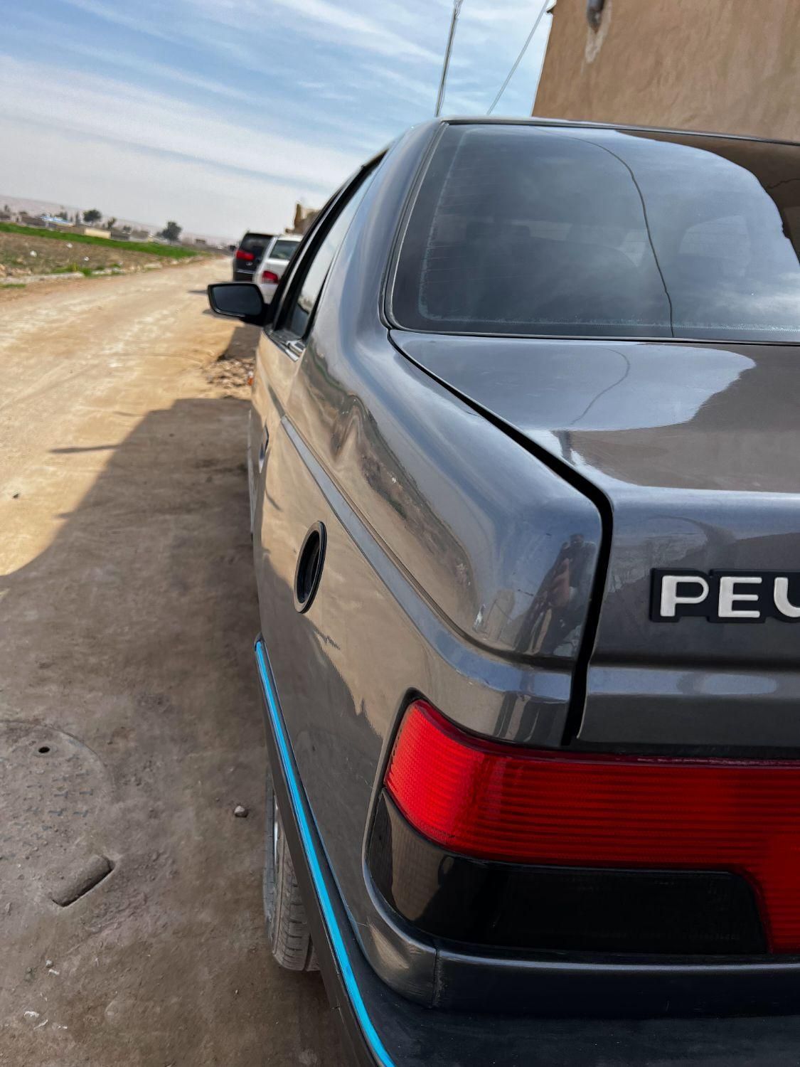 پژو 405 GLX - دوگانه سوز - 1395