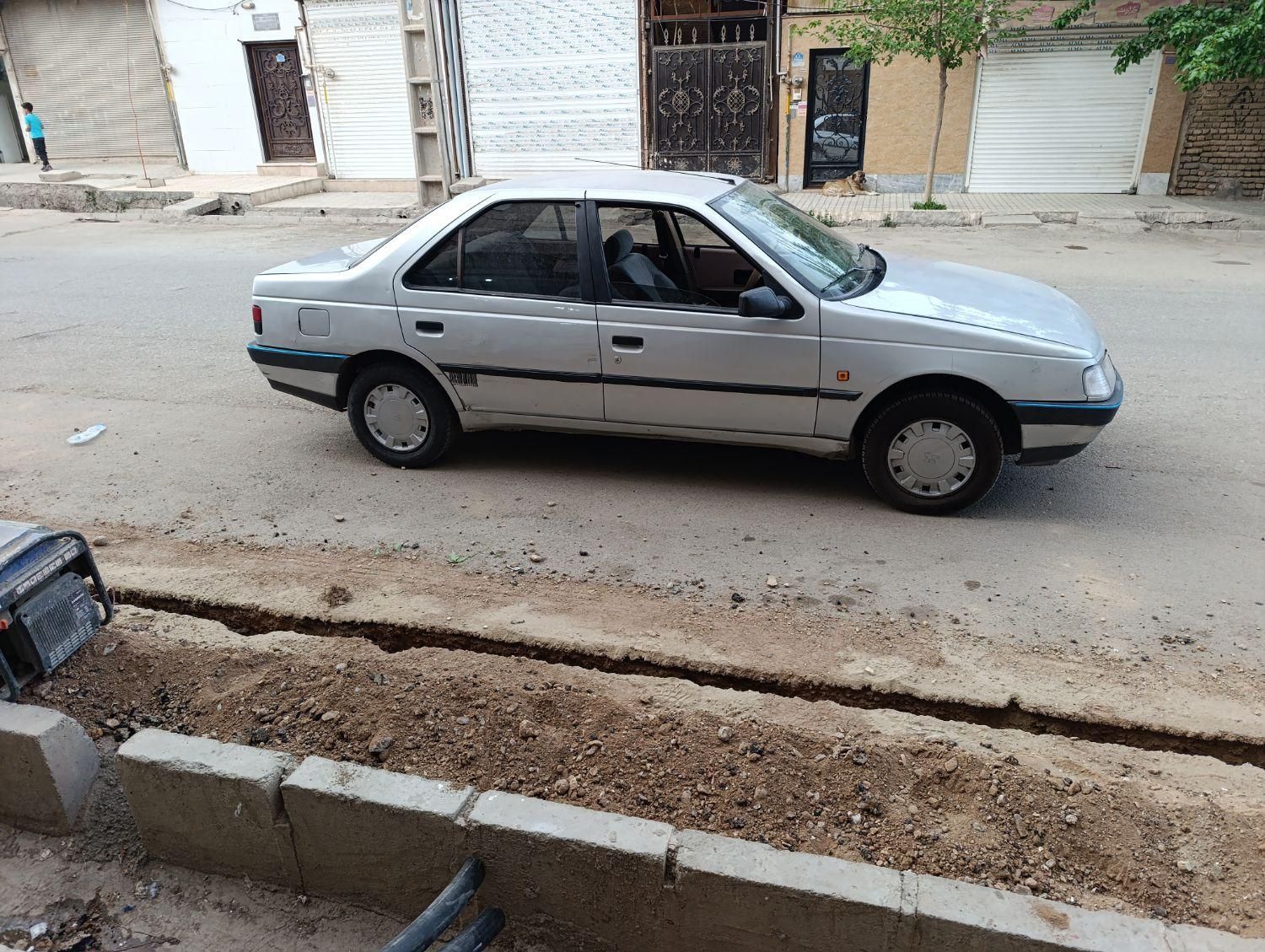 پژو 405 GLX - دوگانه سوز - 1391