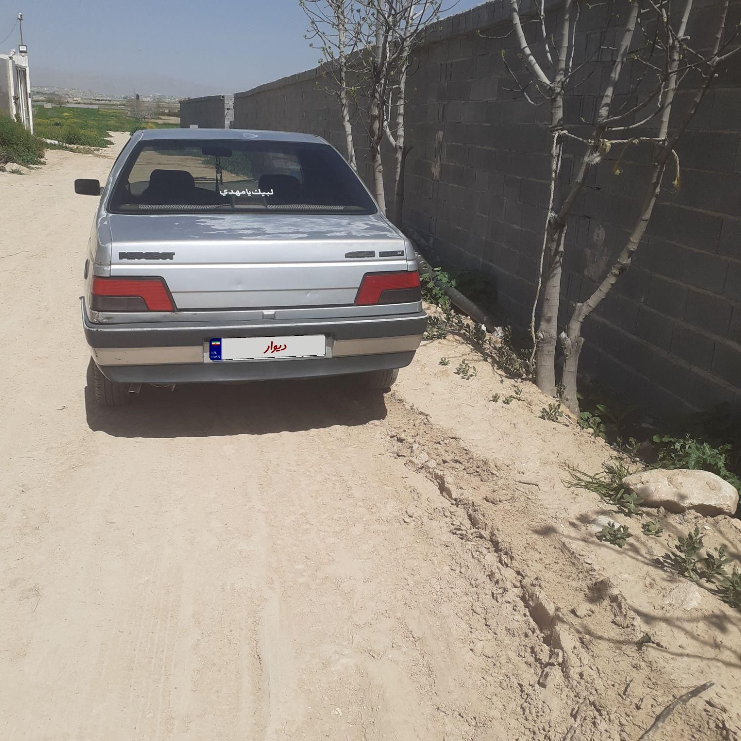 پژو 405 GL - دوگانه سوز CNG - 1373