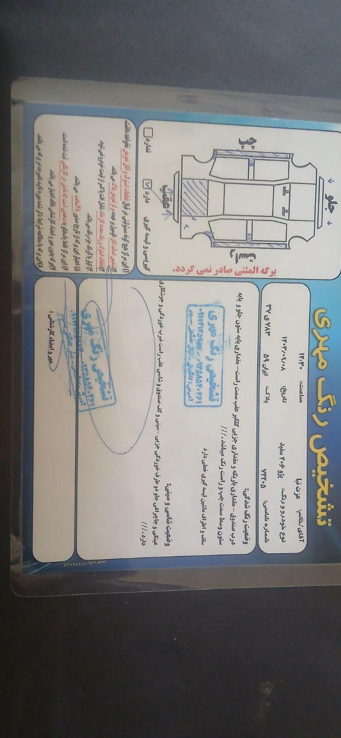 پژو 206 تیپ 2 - 1388