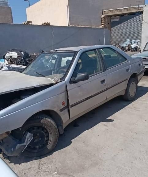 پژو 405 GLX - دوگانه سوز - 1384