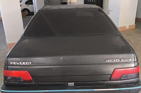 پژو 405 GLX - دوگانه سوز - 1389