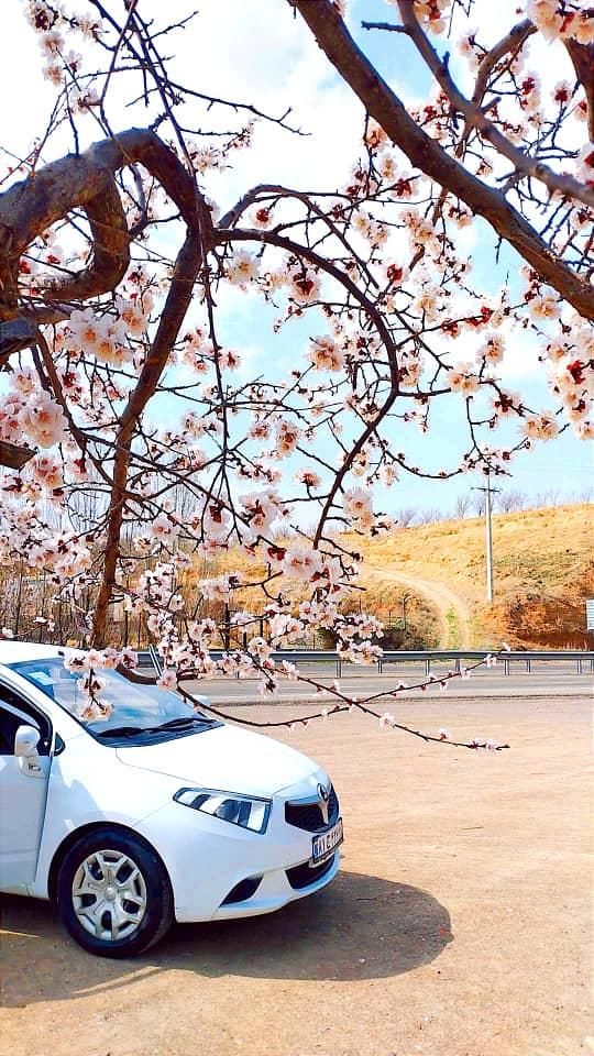 خودرو برلیانس، H220 آگهی ann_17902736