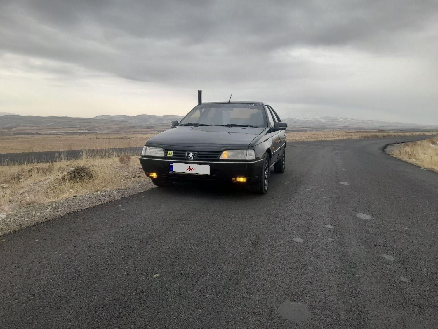 پژو 405 GLX - 1381