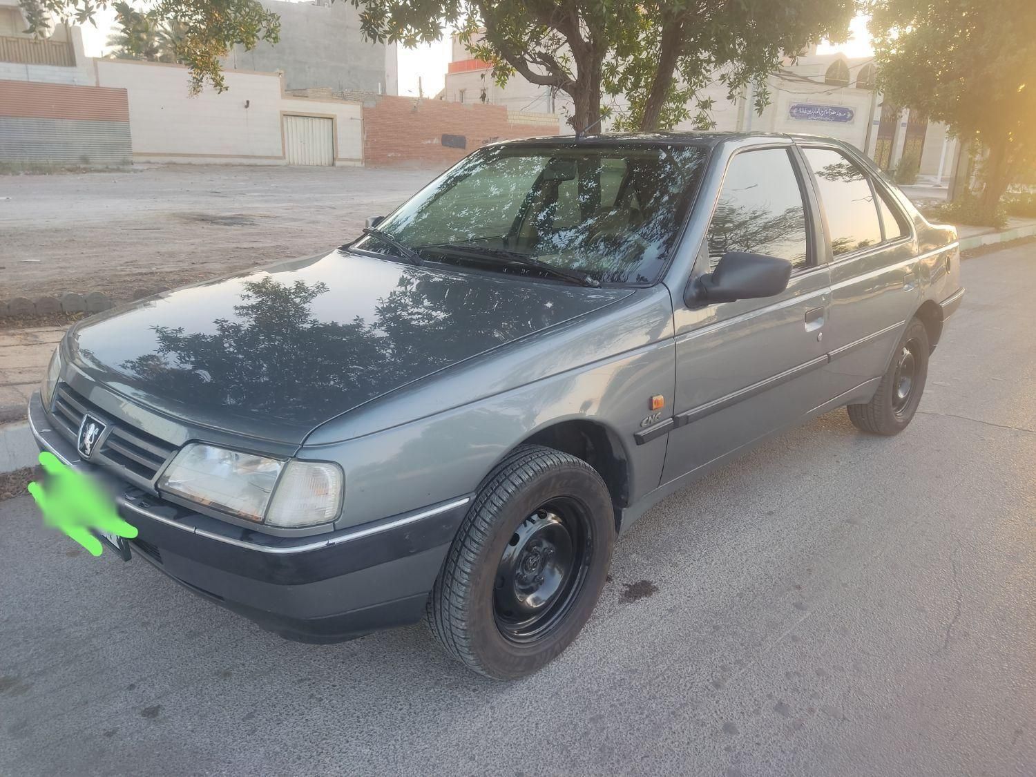 پژو 405 GLX - دوگانه سوز - 1391