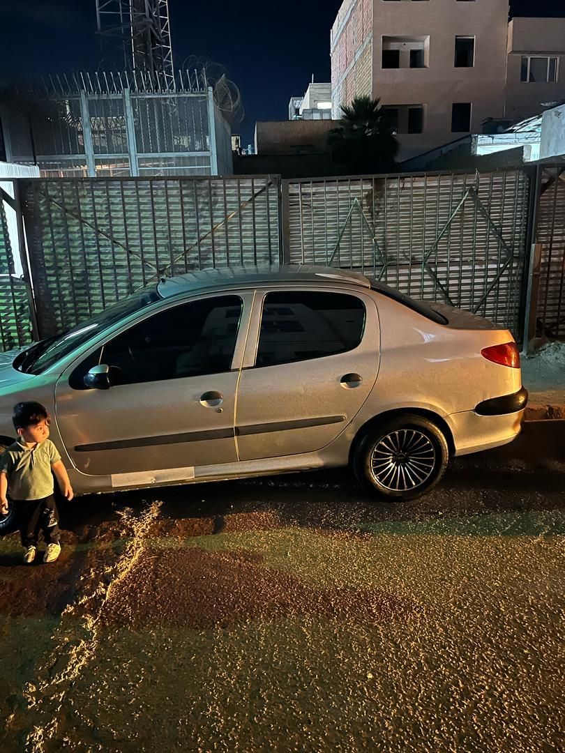 پژو 206 SD v8 - 1390
