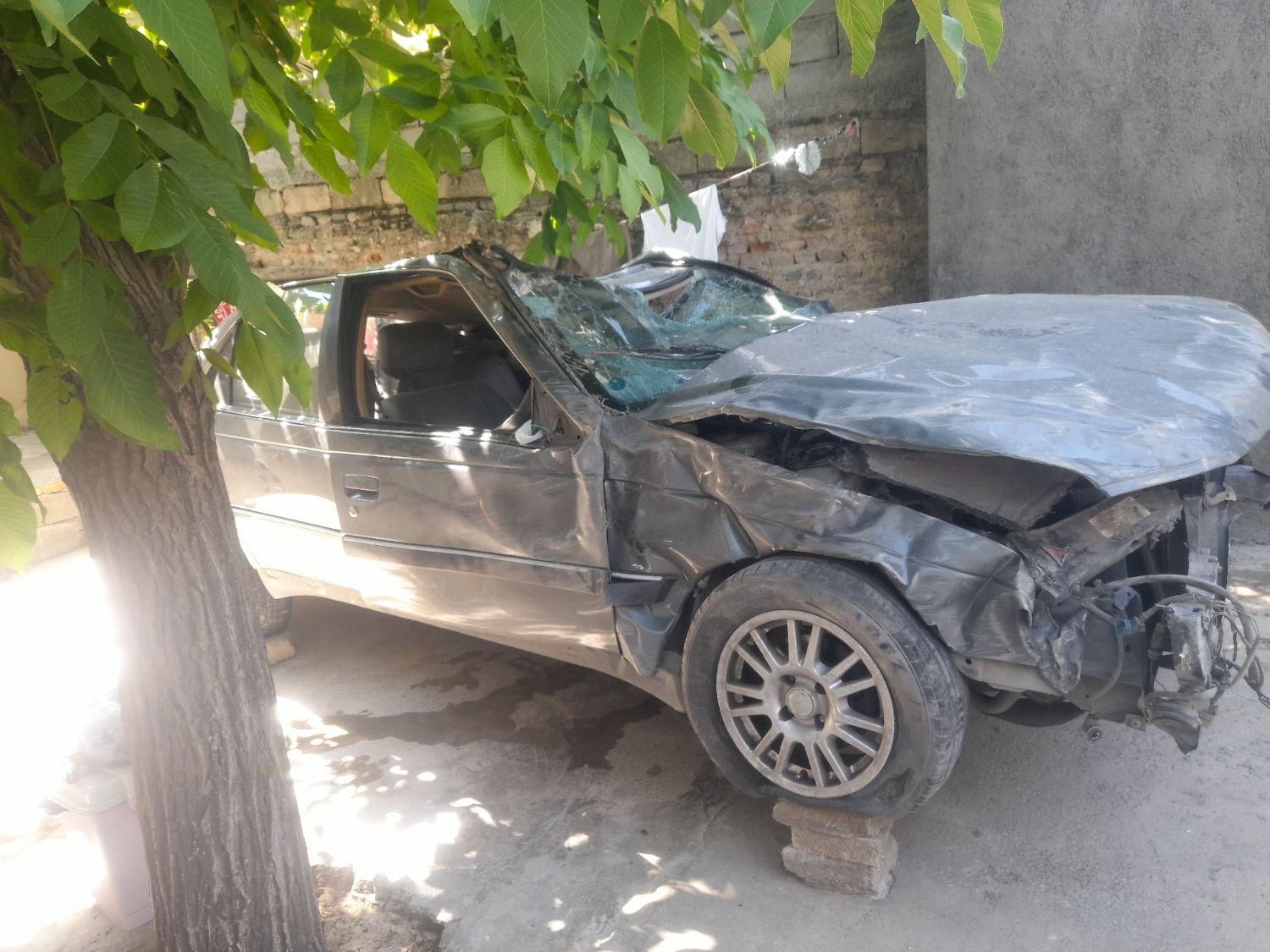 پژو پارس ELX-XU7P سفارشی - 1393