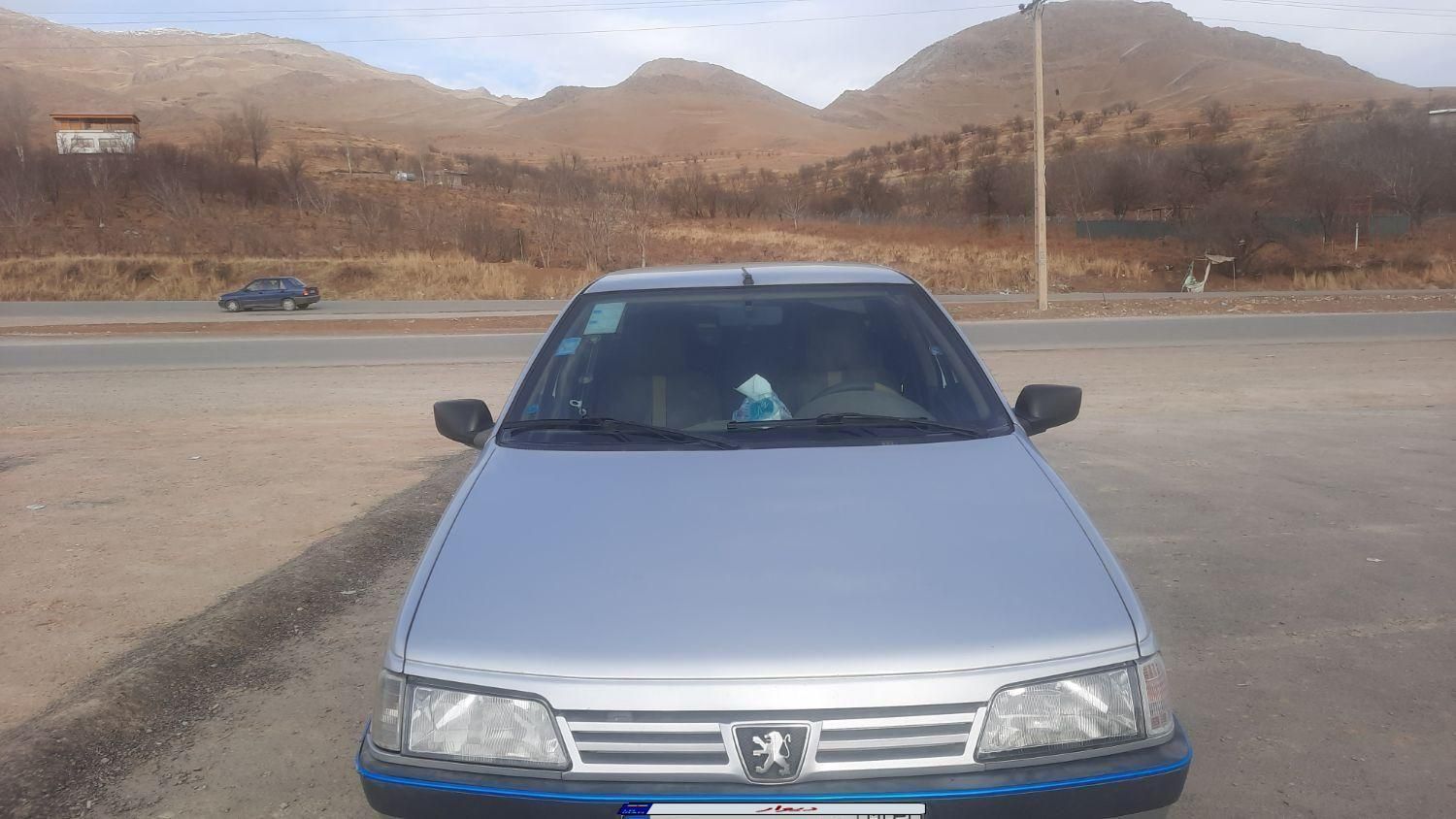 پژو 405 GL - دوگانه سوز CNG - 1369