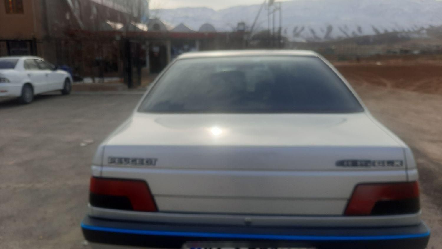 پژو 405 GL - دوگانه سوز CNG - 1369