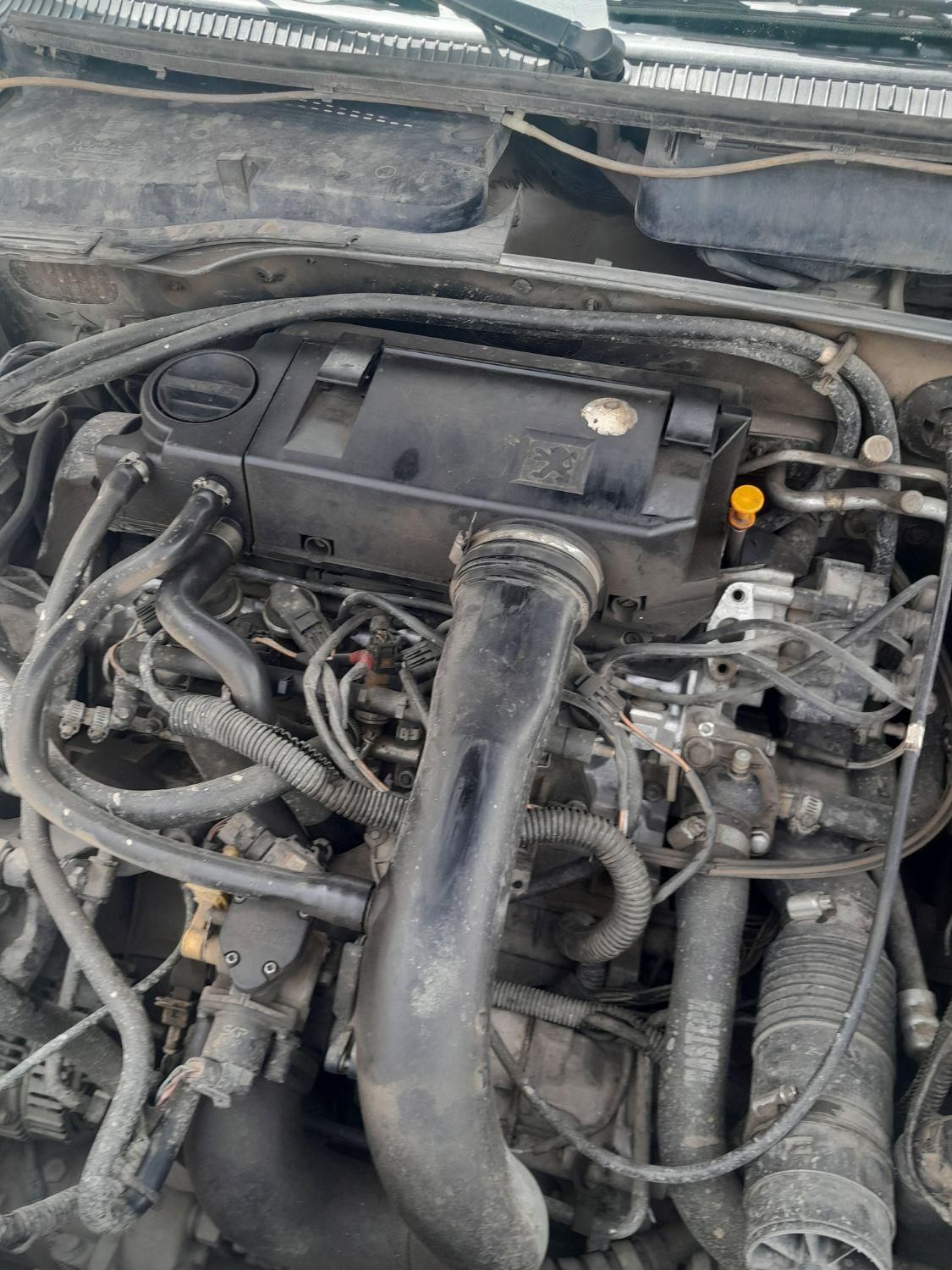 پژو 405 GLX - دوگانه سوز - 1390