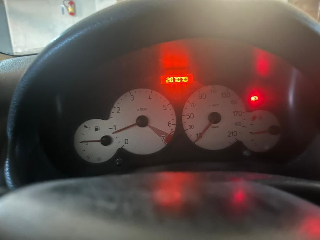 پژو 206 SD v8 - 1395