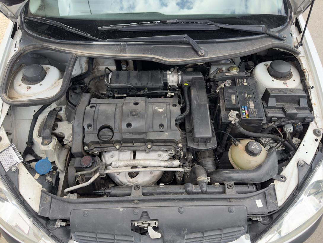 پژو 206 SD v8 - 1394