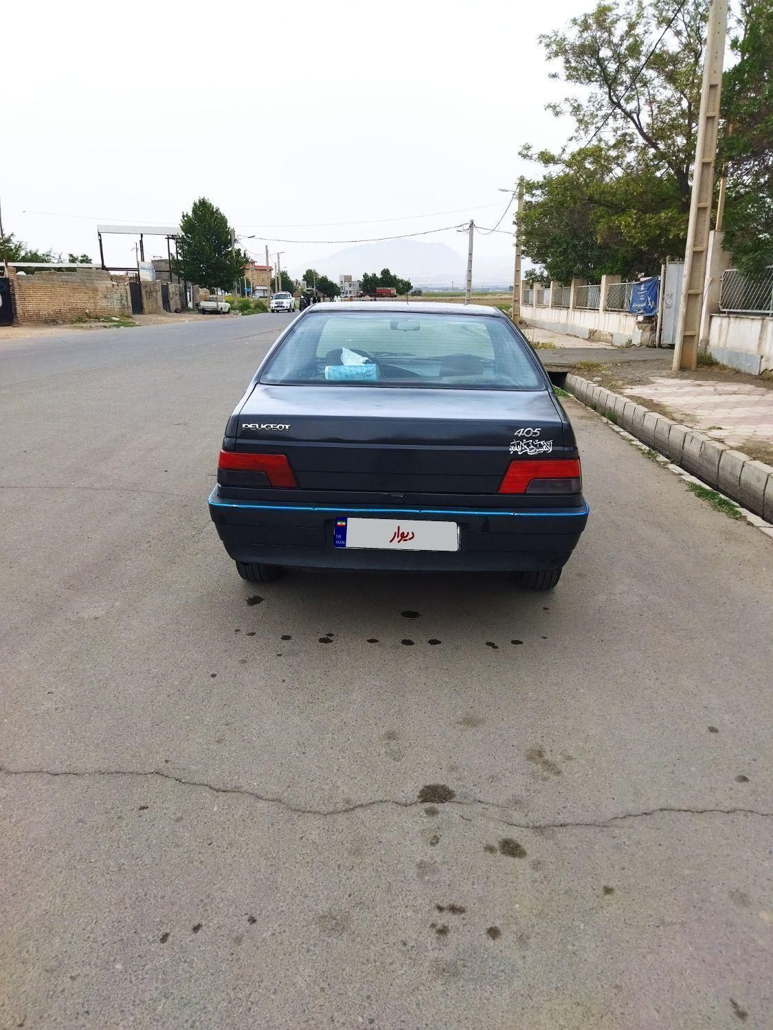 پژو 405 GLI - دوگانه سوز CNG - 1384