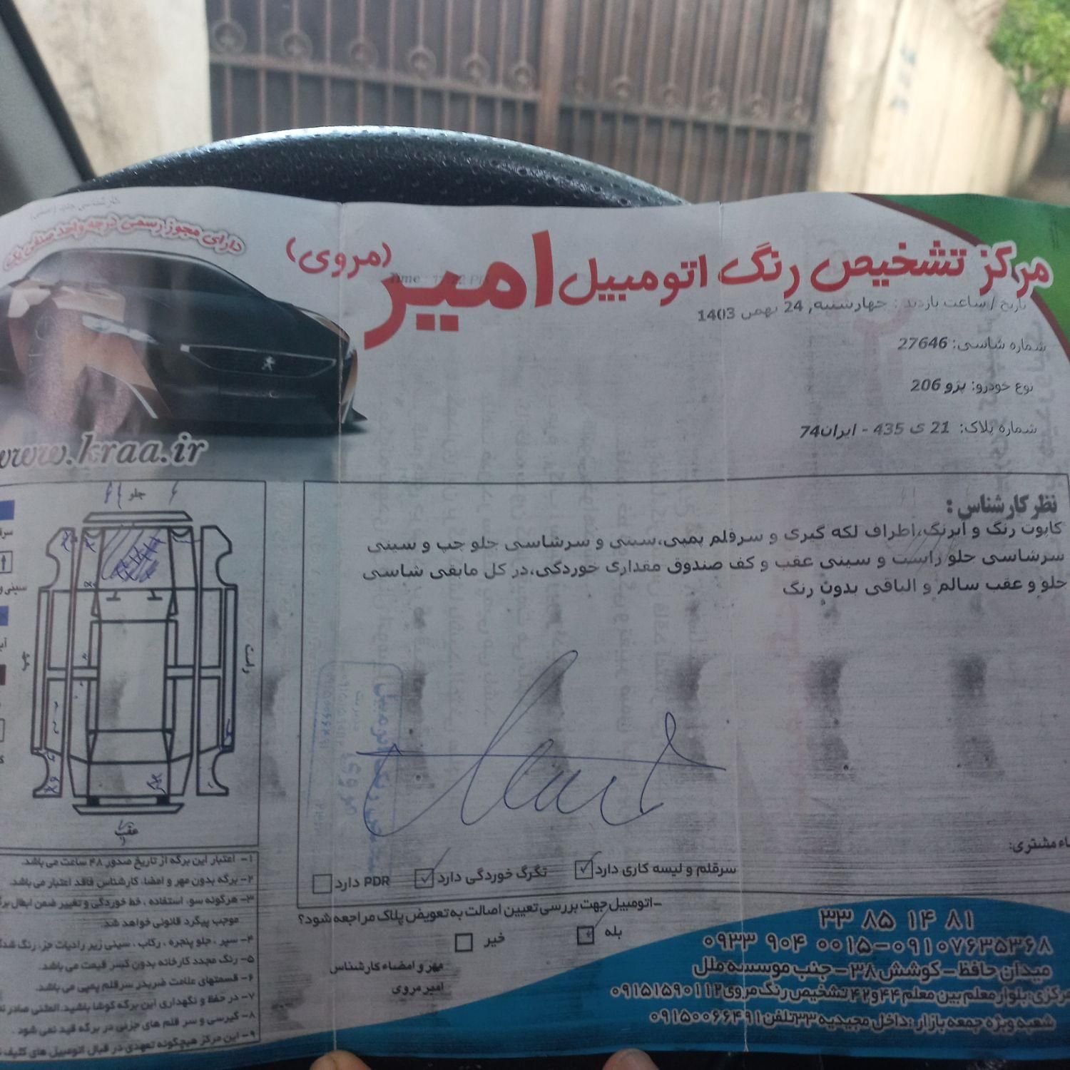 پژو 206 تیپ 2 - 1395