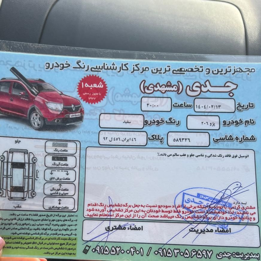 پژو 206 تیپ 2 - 1391