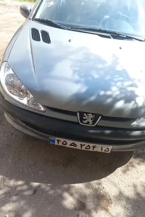 پژو 206 SD v8 - 1386