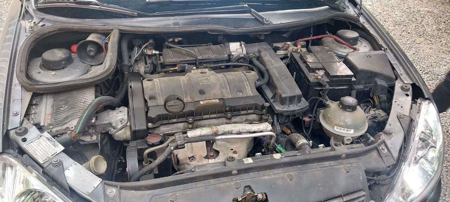 پژو 206 SD v1 - 1390
