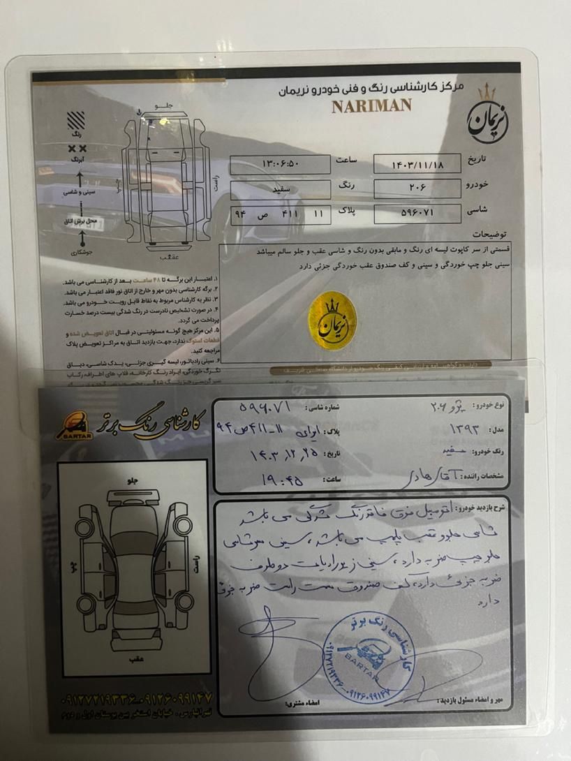 پژو 206 تیپ 2 - 1393
