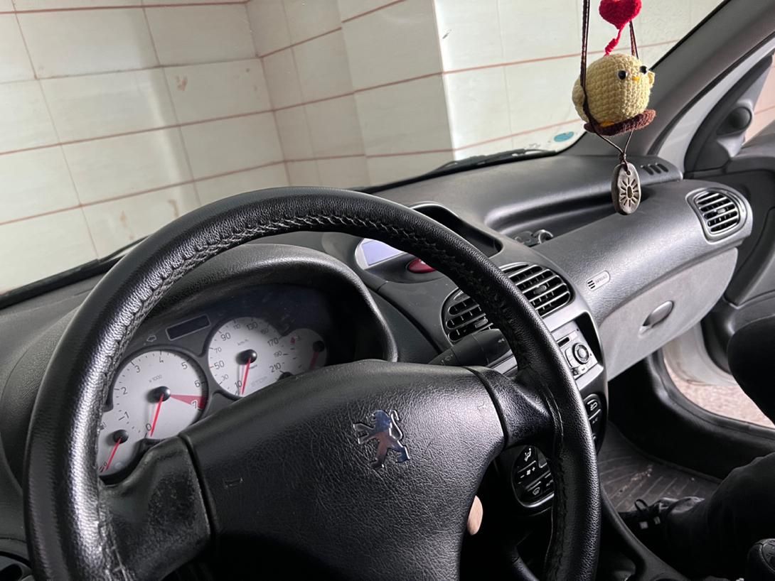 پژو 206 SD v8 - 1394