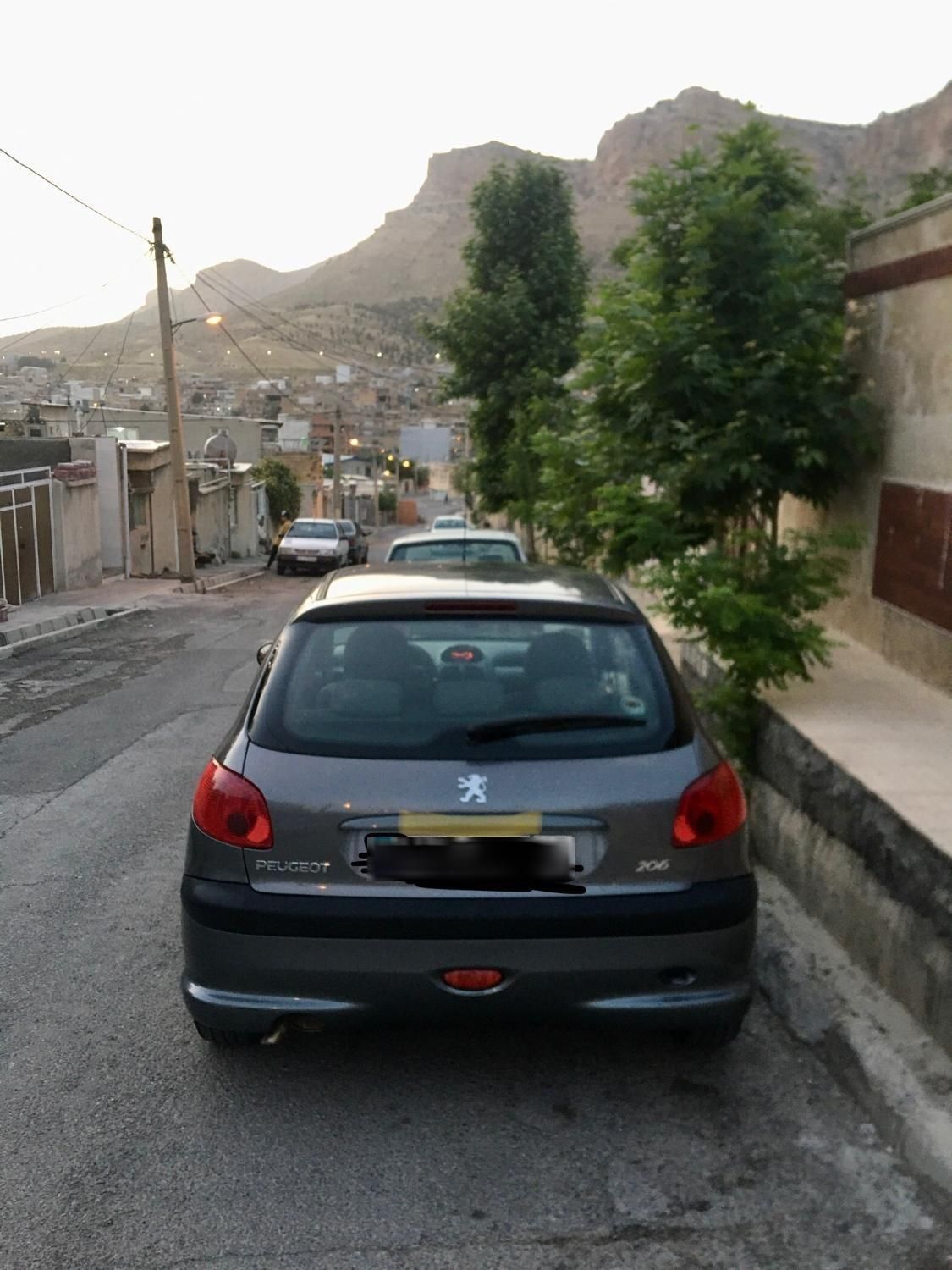 پژو 206 تیپ 5 - 1394