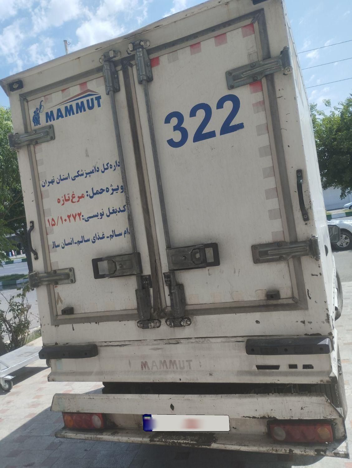 زامیاد وانت نیسانZ24 دوگانه سوز - 1389