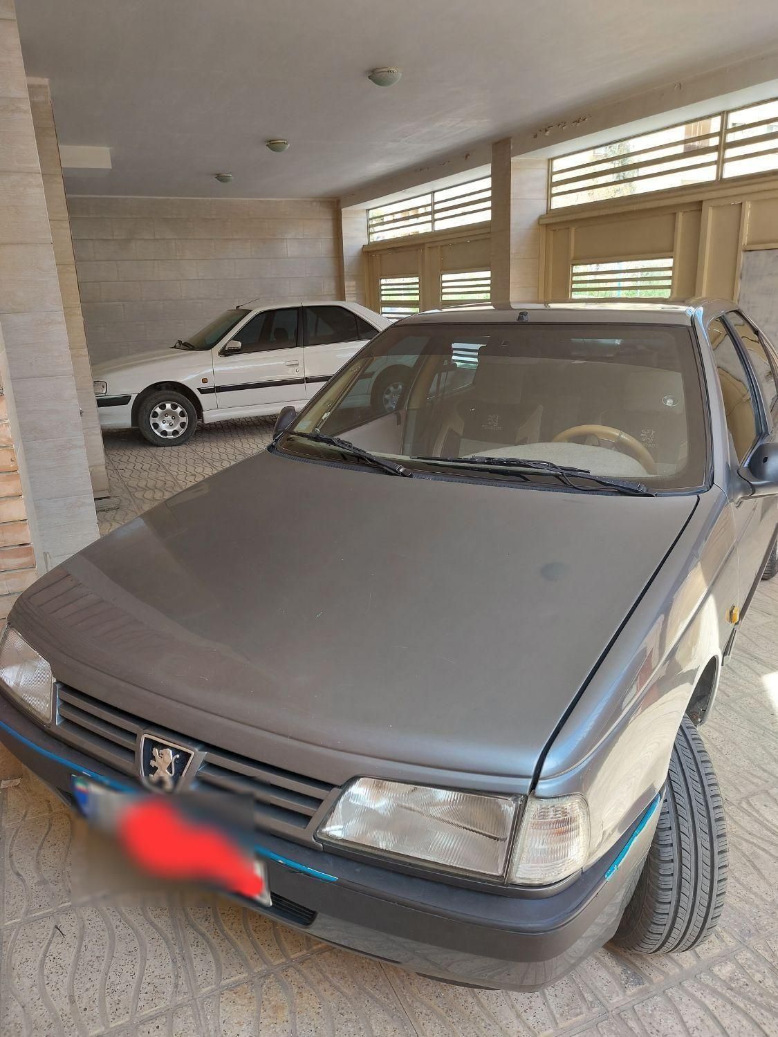 پژو 405 GLX - دوگانه سوز - 1391