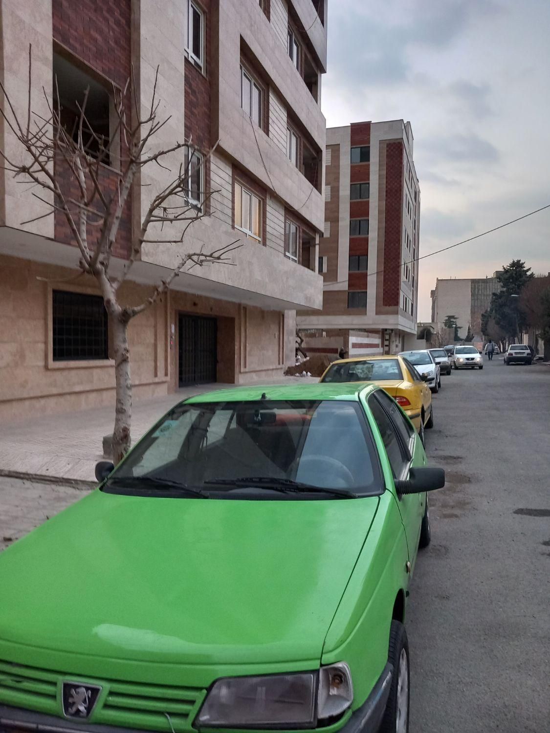 پژو روآ دوگانه سوز - 1386
