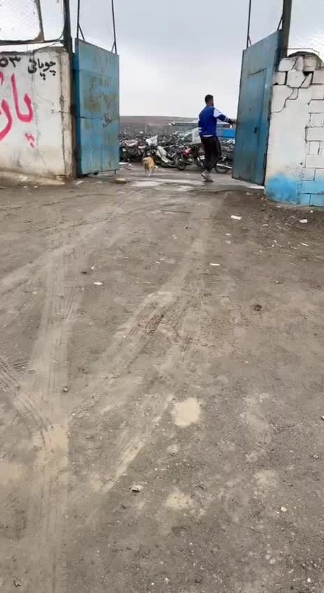 پژو پارس XU7ساده - 1382
