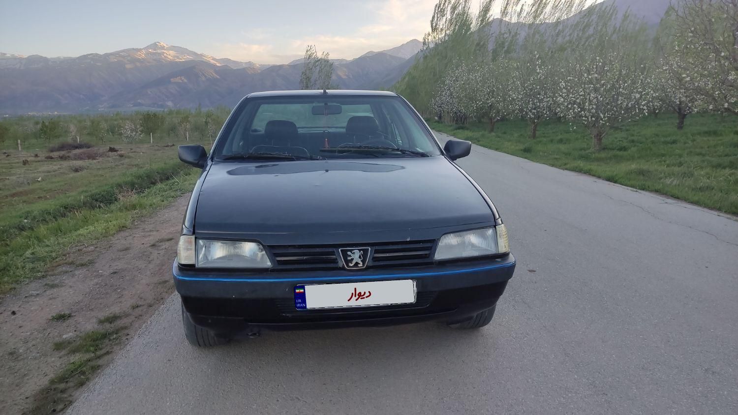 پژو 405 GLX - دوگانه سوز - 1373
