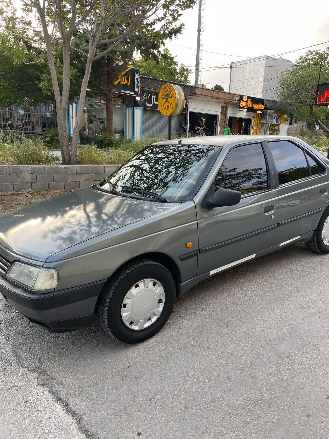پژو 405 GL - دوگانه سوز CNG - 1369