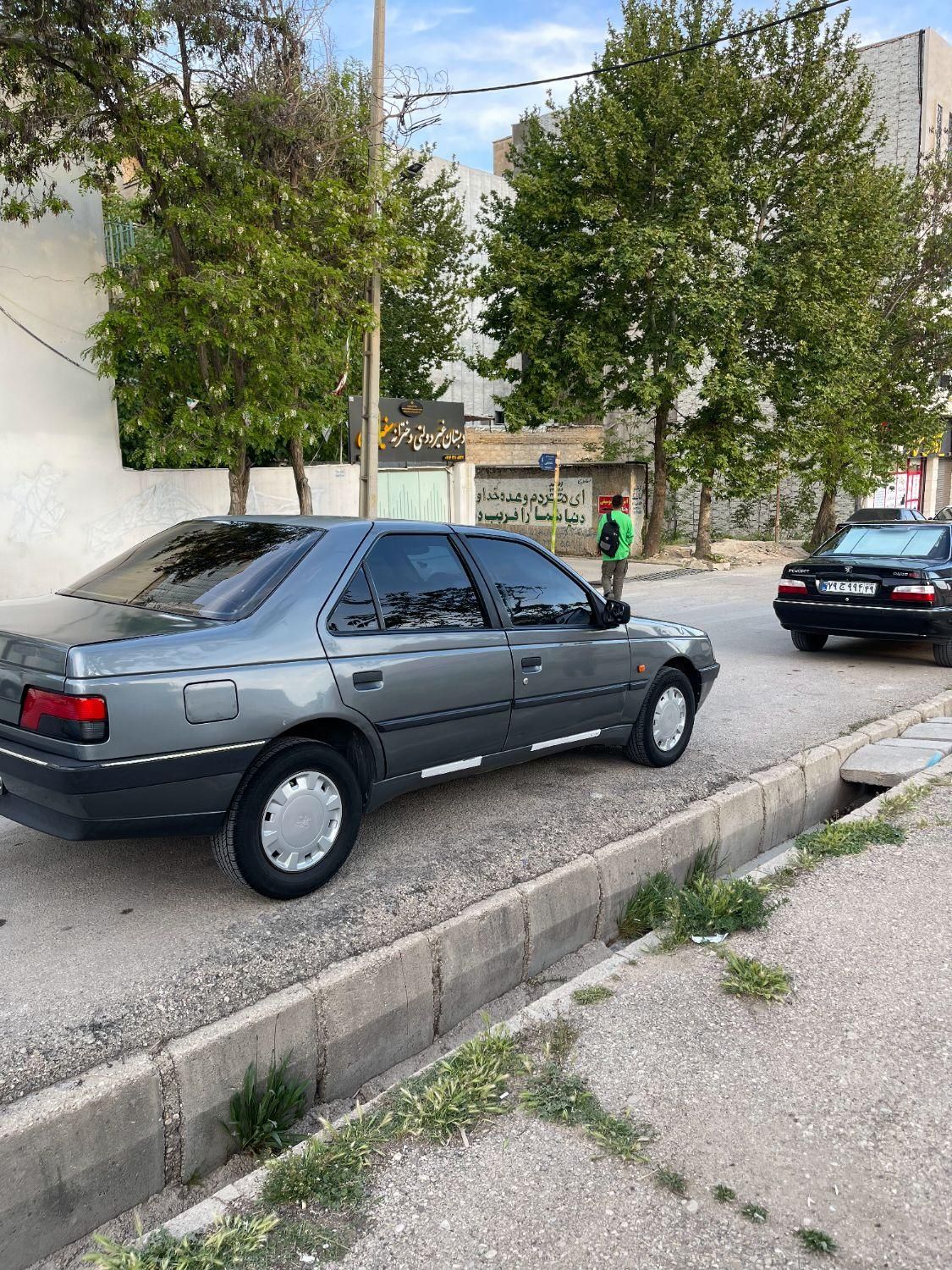 پژو 405 GL - دوگانه سوز CNG - 1369