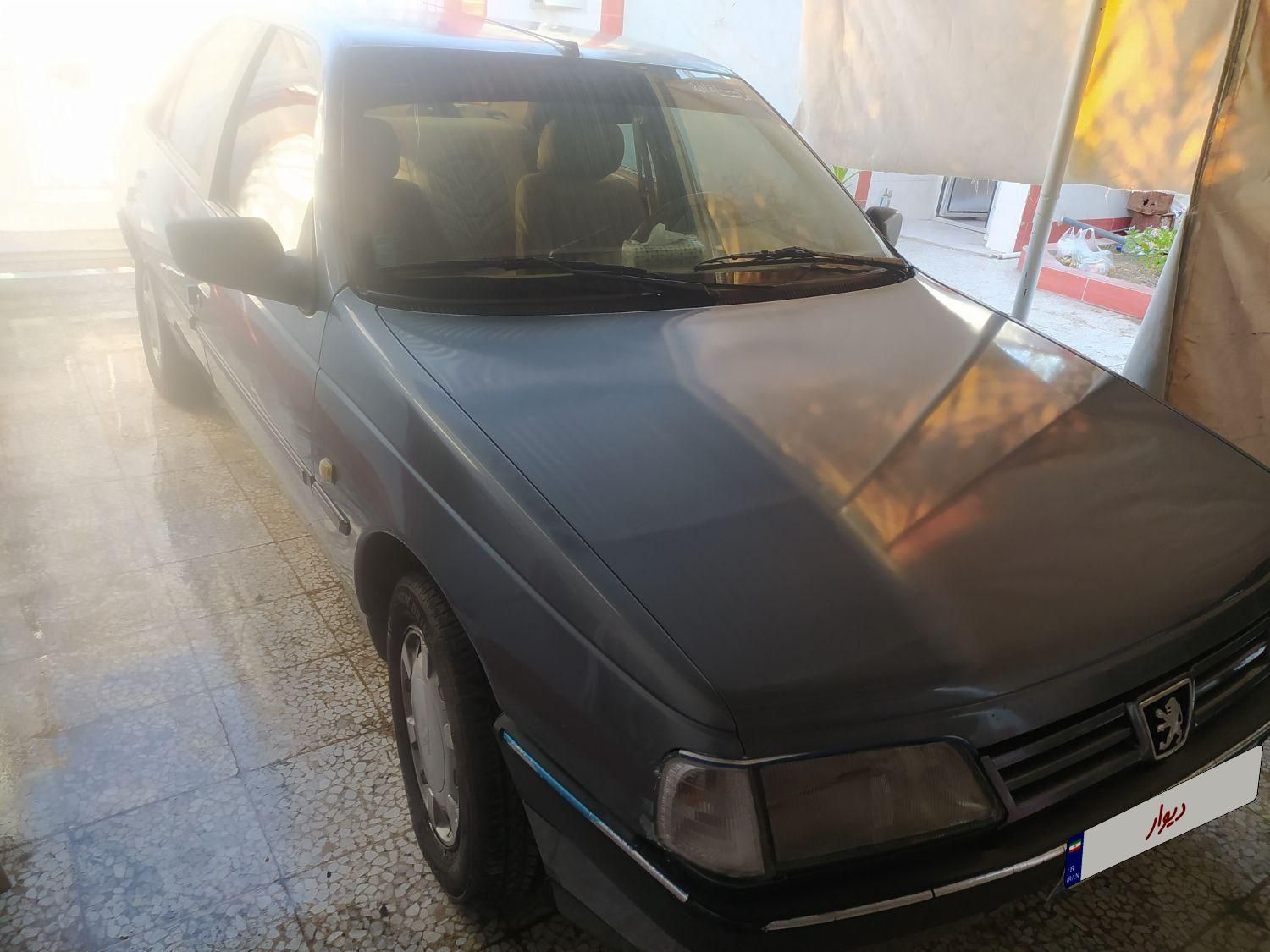 پژو 405 GLX - دوگانه سوز - 1389