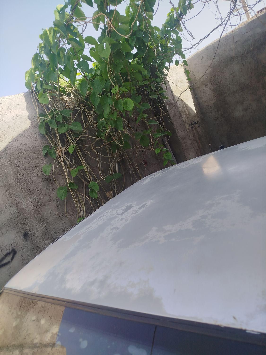 خودرو پژو، 405 آگهی ann_17937514