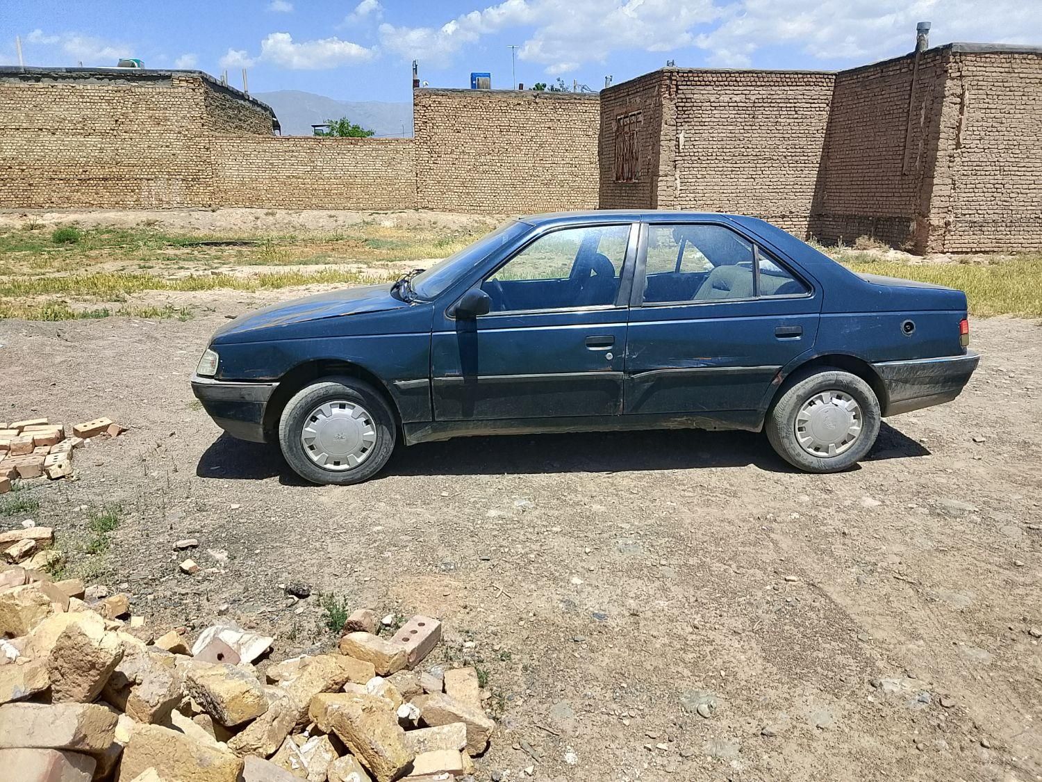 پژو آردی دوگانه سوز CNG - 1382