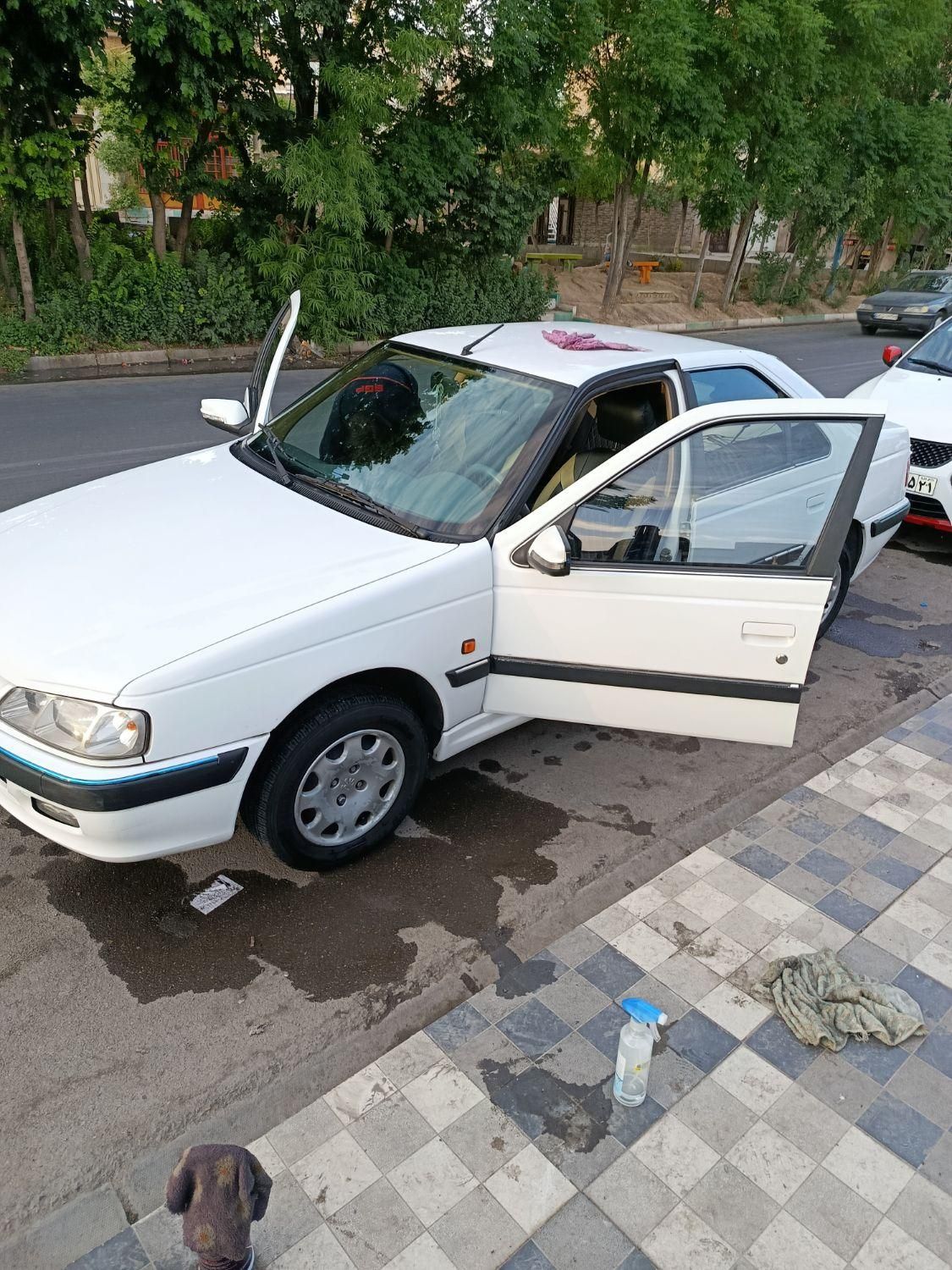 پژو پارس سال - 1398
