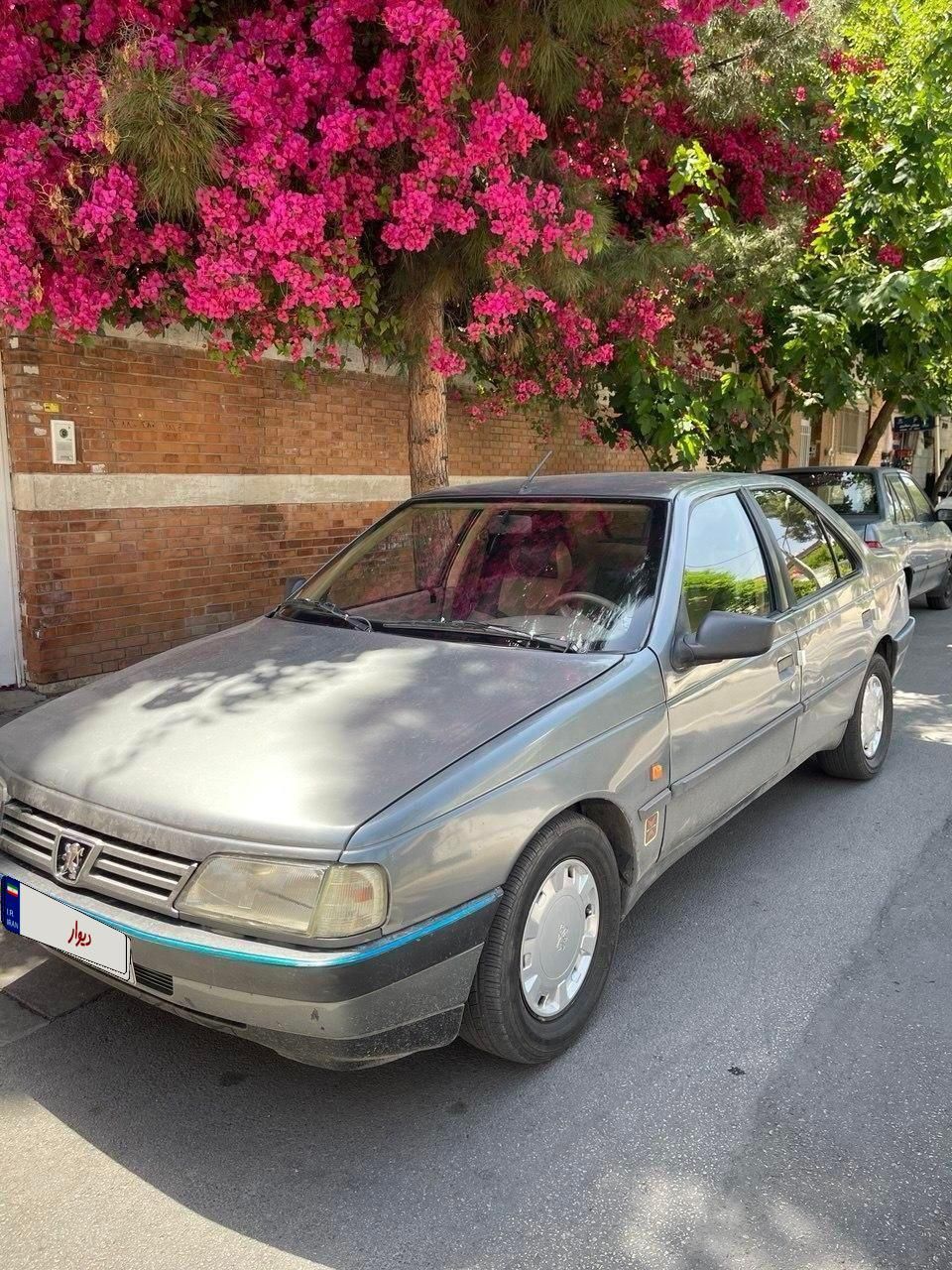 پژو 405 GLX - دوگانه سوز - 1392