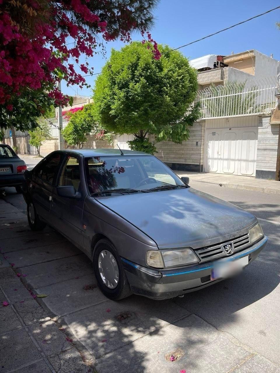 پژو 405 GLX - دوگانه سوز - 1392